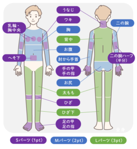 メンズ医療脱毛（全身セレクト医療脱毛・SML）の照射部位